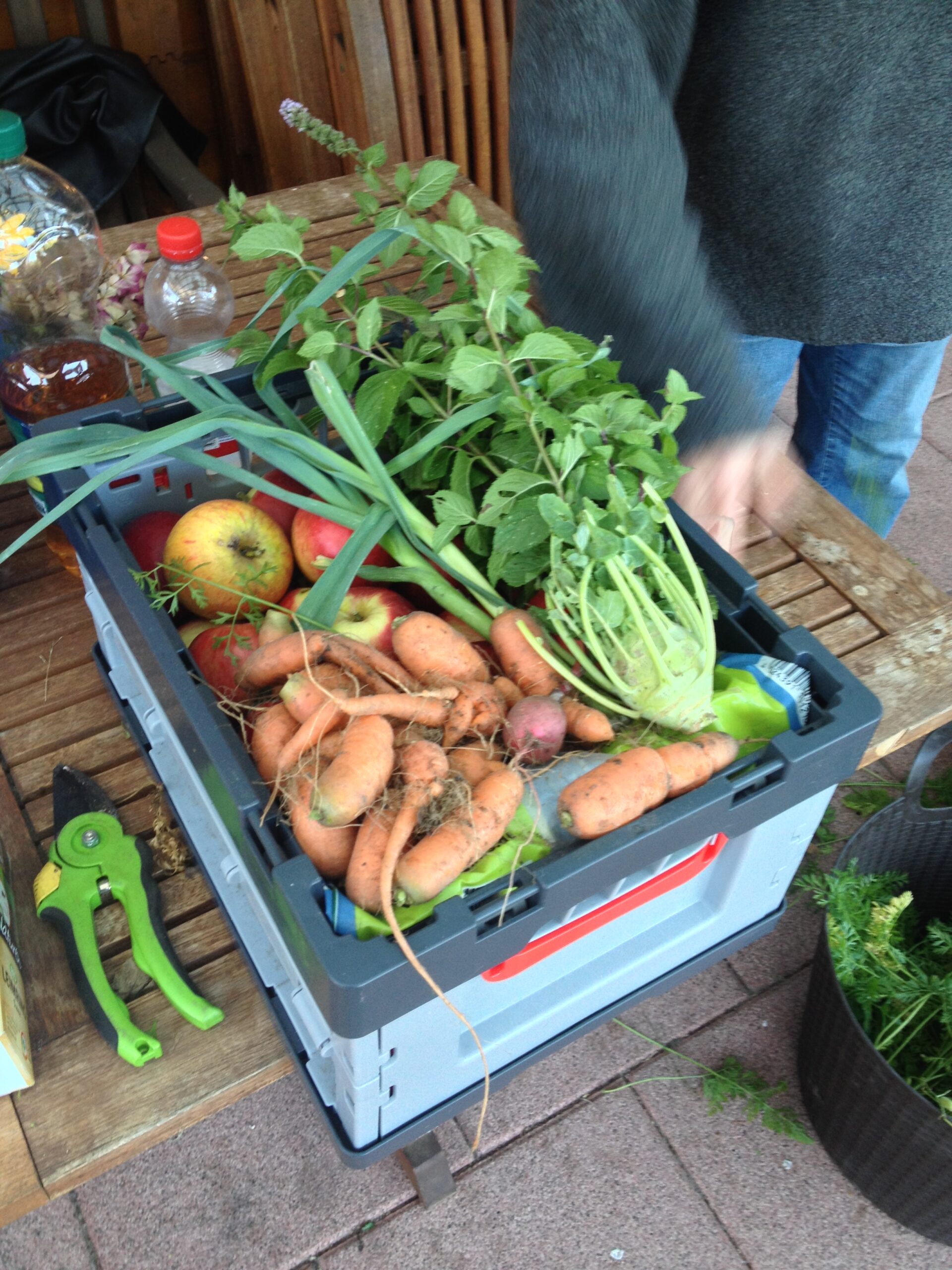 Warum Annegret Farmerin wurde
