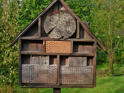 Gemeinschaft to go in Münster