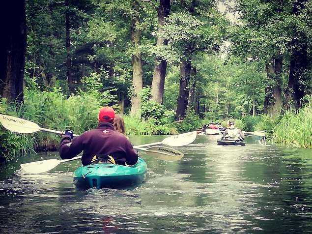 Singles paddeln durch den Spreewald