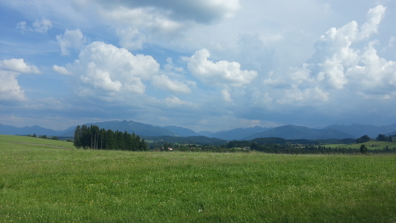 Pack die Badehose ein