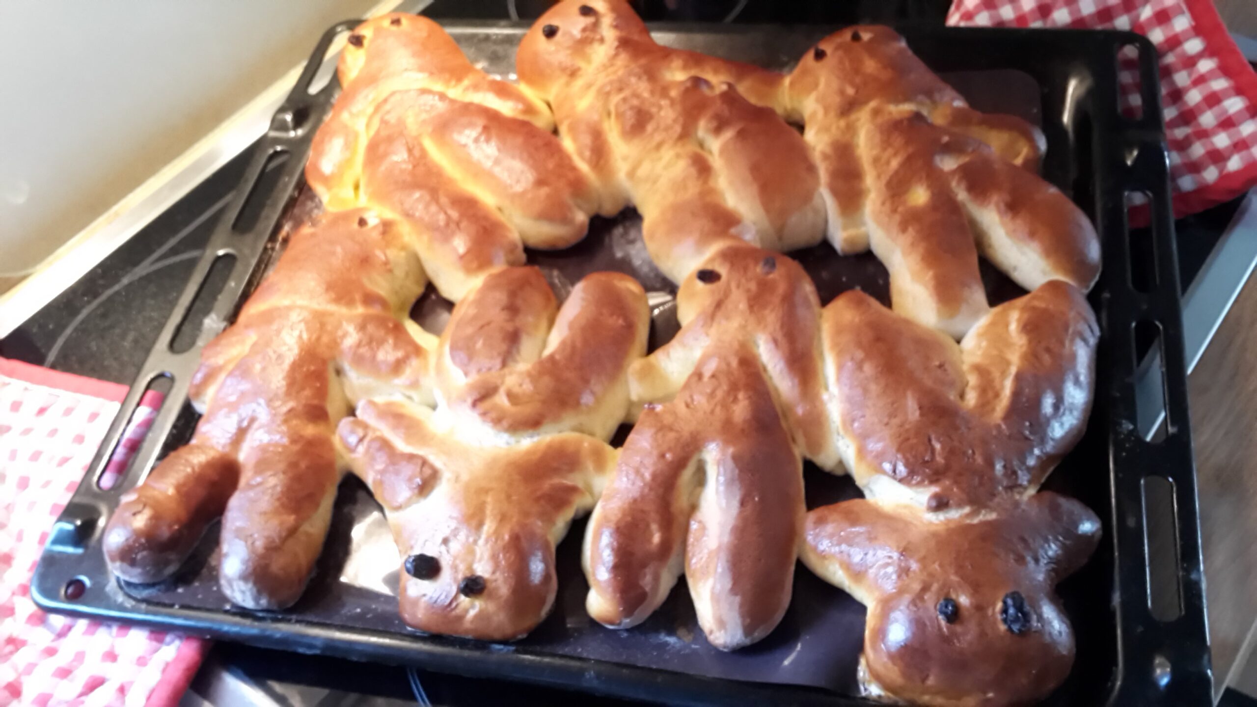 Treffpunkte für Alleinleber im November