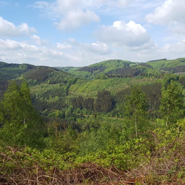 Es tut sich was im Sauerland | Patricia