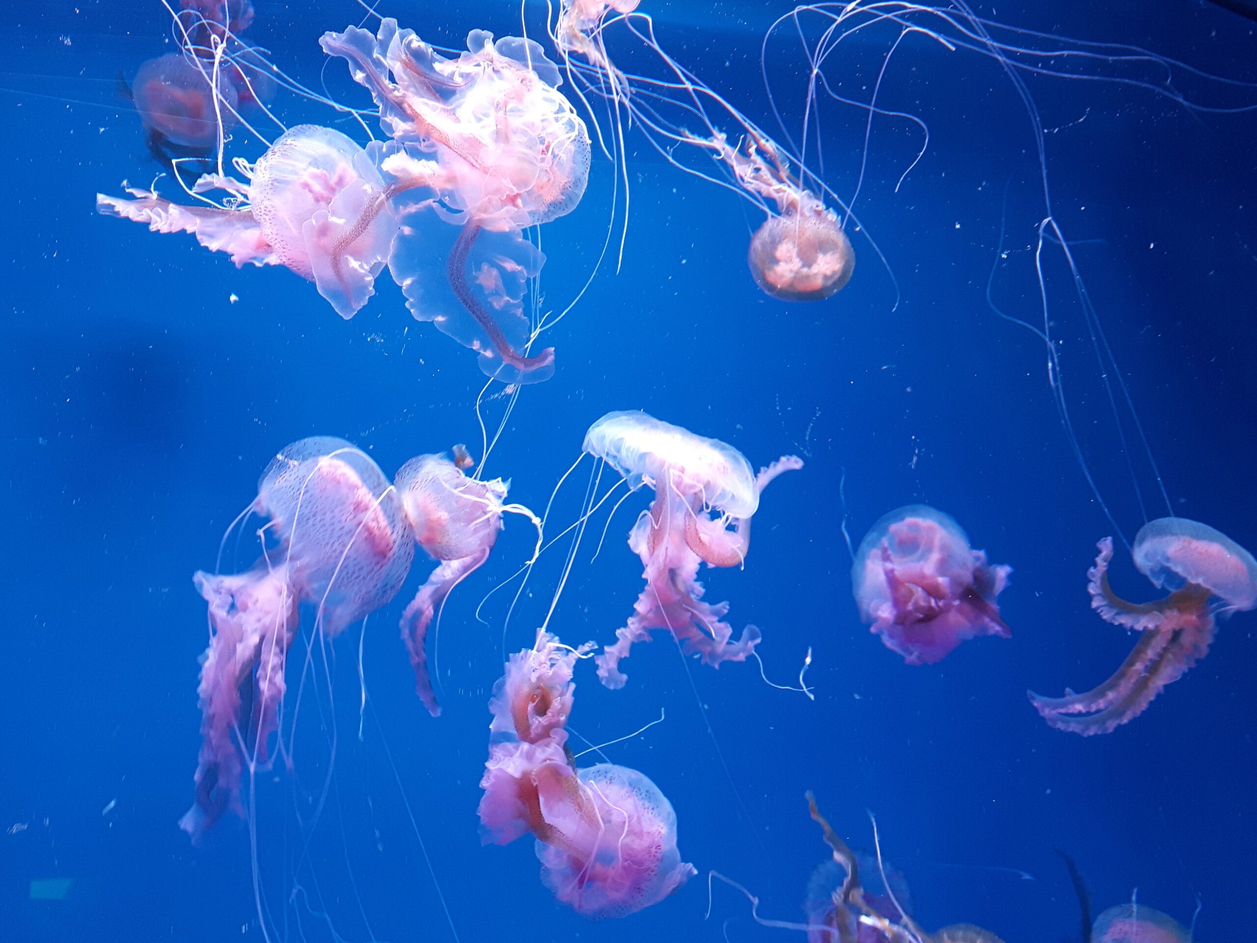 A bisserl Mut lohnt sich! | Brigitte