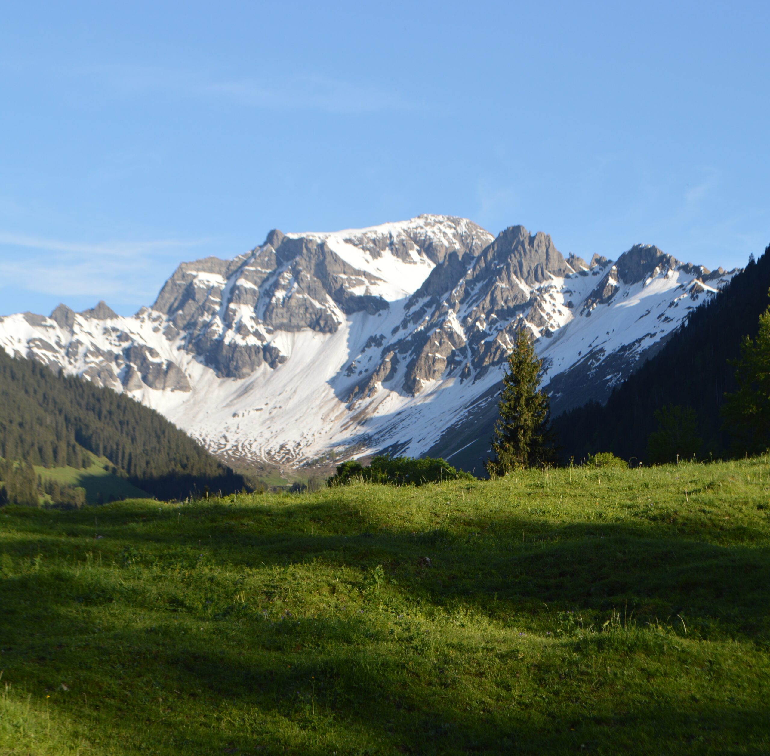 Pfingsten auf der Grimmialp