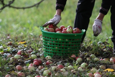 Gedanken einer Gärtnerin