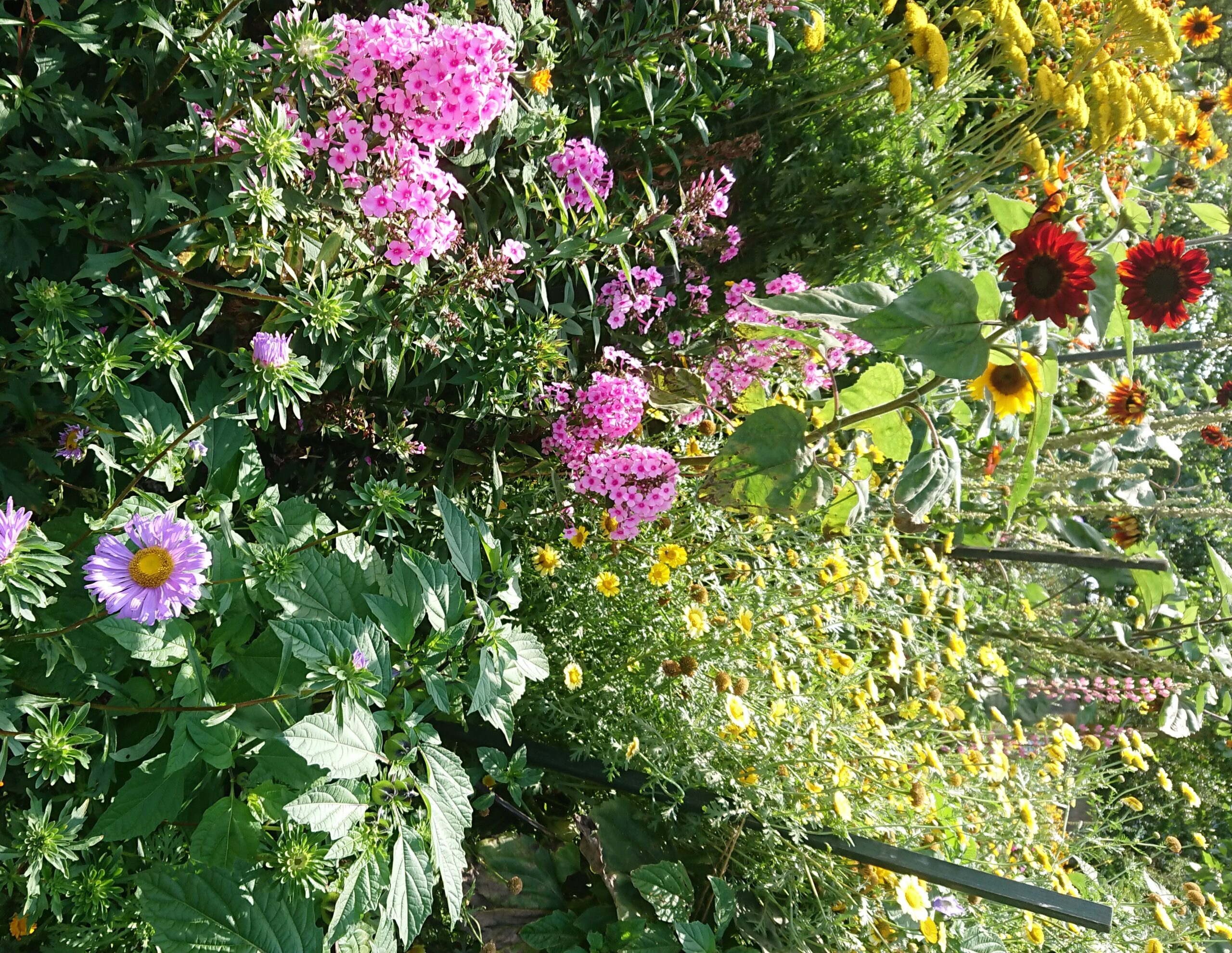 Gedanken einer Gärtnerin – Teil 2 | Astrid