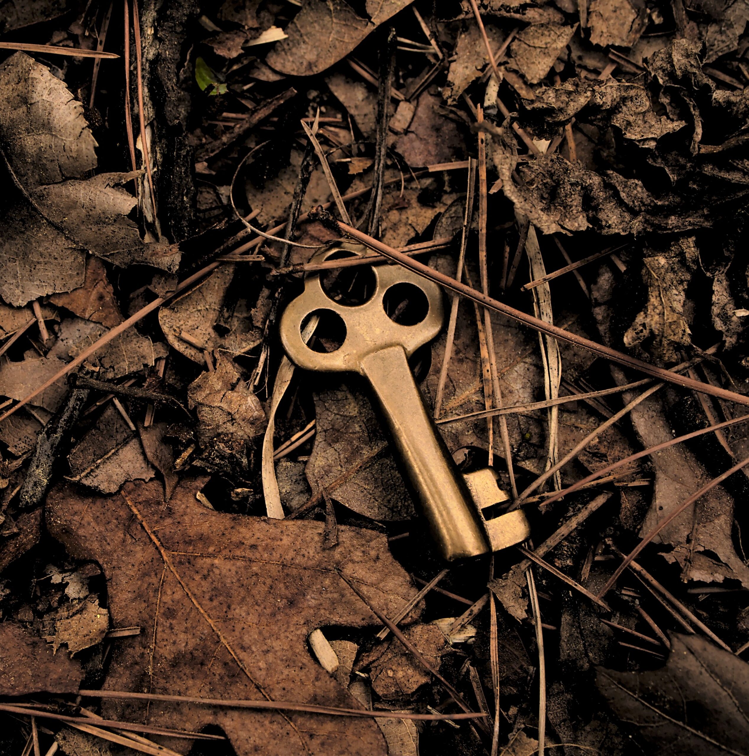 Ich hab‘ hier was entdeckt | Astrid