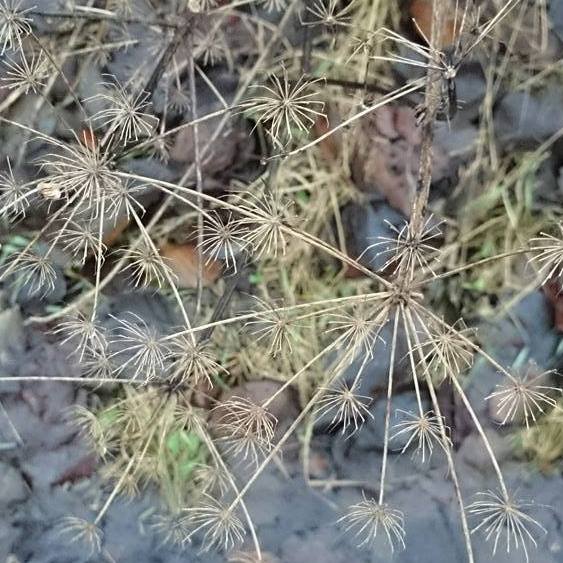 Solo aber nicht allein | 10