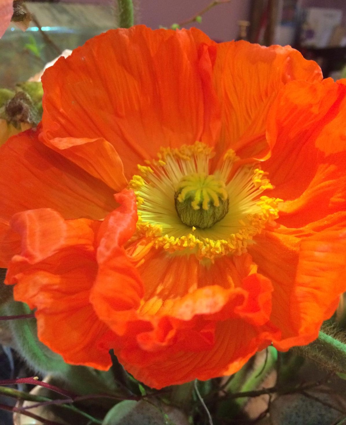 ERfüllt – Krelinger Singletag