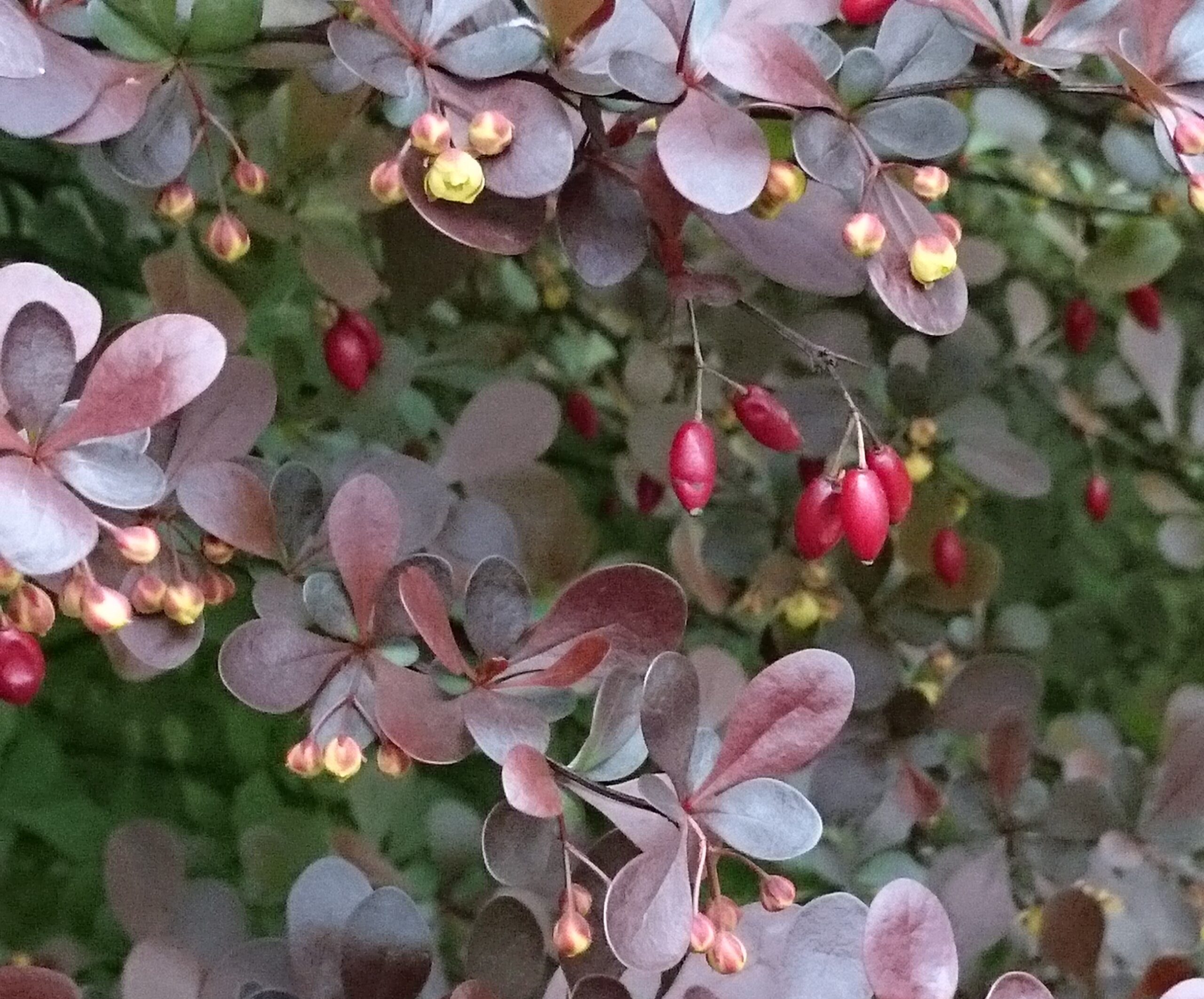 Aus dem Programm für 2021