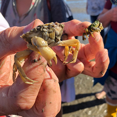 Wo sich Himmel und Erde berühren