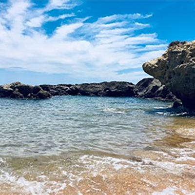 Veranstaltungstipps – nichts verpassen!