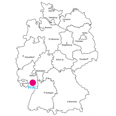 Solo&Co vor Ort: Heute in der Pfalz