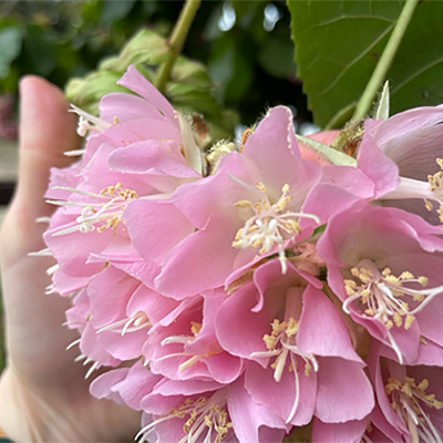 Der nächste Urlaub kommt bestimmt