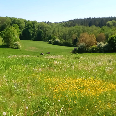 Solo&Co-Gruppe wandert im Kraichgau