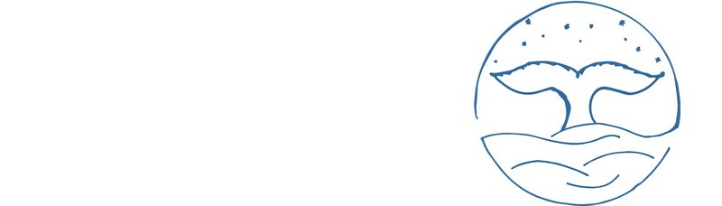 Webdesign by Bereishit - Im Anfang steckt ein Geheimnis